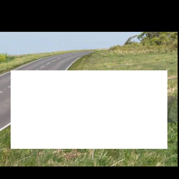 4' x 8' Yard Sign Thumbnail